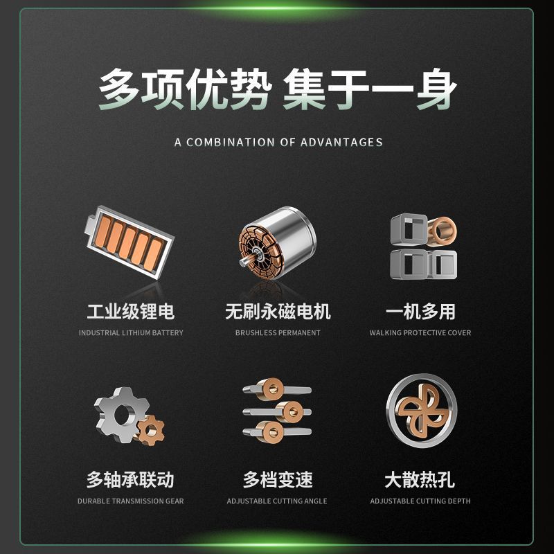 Pure Copper Pure Copper Poly Brushless Lithium Electric Follow…