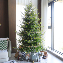 家用圣诞树1.5米加密豪华环保PE网红冷杉树圣诞节装饰