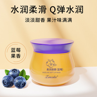 Zhengcai Lip Mask Wholesale to Fade Lip Lines, Moisturize, Moisturize and Exfoliate Lip Care Blueberry Lip Balm Wholesale