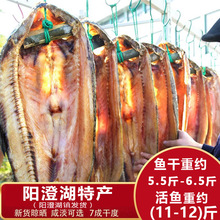 ꖳκ����·���~���خa���~�ɸ�؛�~�������L�����~���l���~���~