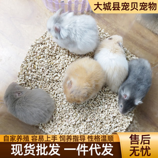 �Lë��ţ�܂}����w������B����С����}��S�����l���w�}��