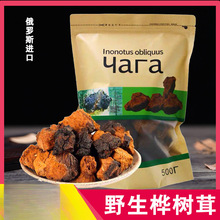 桦树茸俄罗斯进口野生华树茸白桦茸的功效和作用长白山