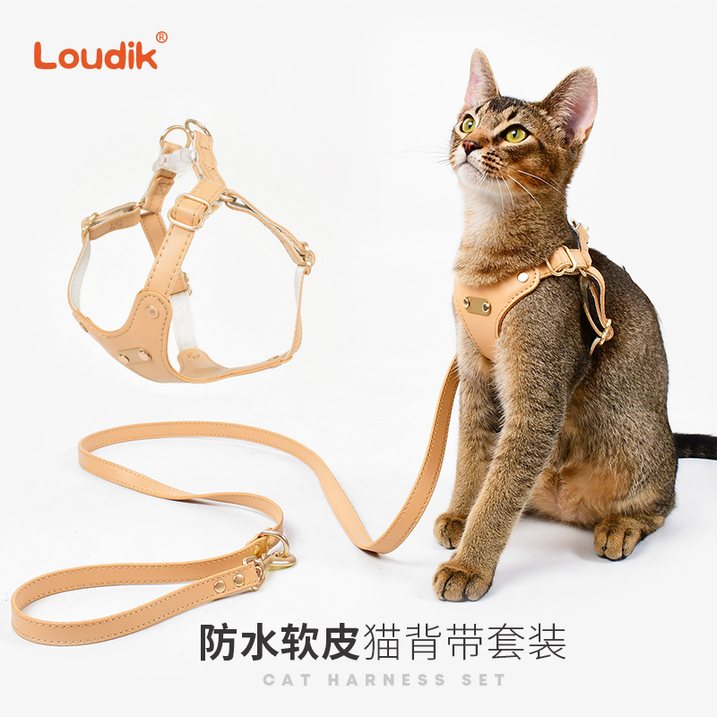 Dego工厂批发小狗狗猫咪胸背带宠物牵引绳猫项圈溜猫绳小型犬跨境|undefined