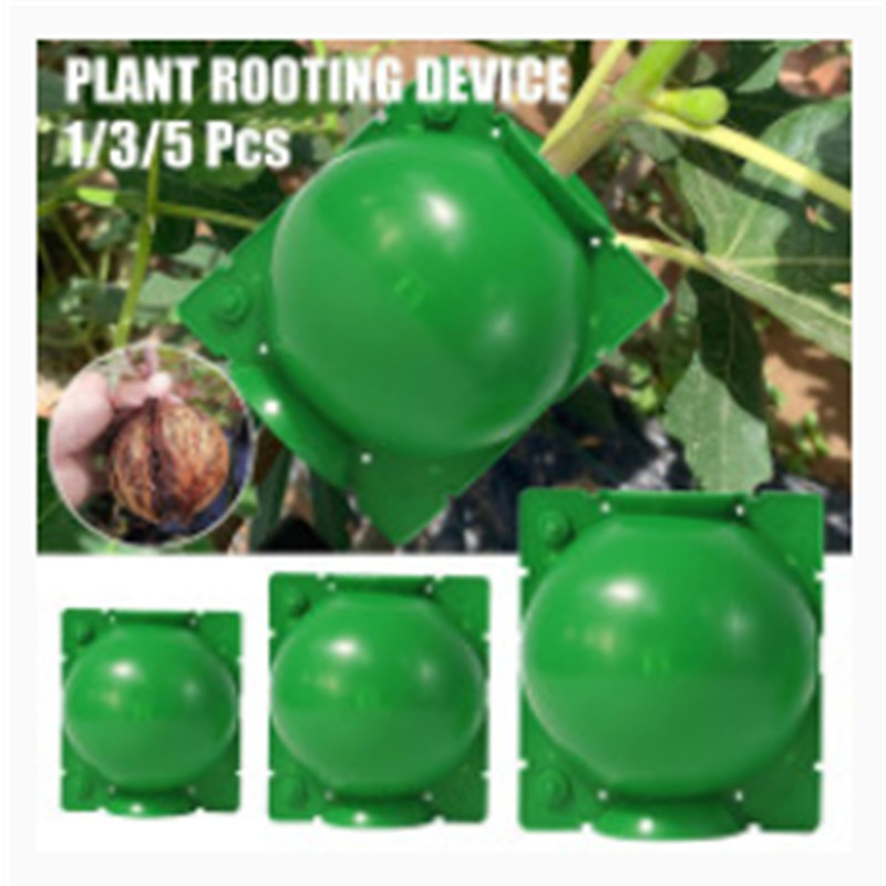 Transfronterizo en stock planta Bola de enraizamiento injerto Bola de corte de alta presión caja de propagación de asexualidad caja de enraizamiento
