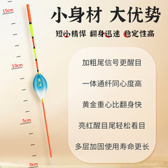 Xiao Fengxian Shallow Water Floating, Bright and Sensitive, Bold Tail Grass Hole Water Skin Small White Strip Floating, Carpinet Ice Fishing