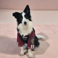 狗狗新年衣服秋冬大型犬保暖金毛拉布拉多护肘衣边牧加厚冬装衣服