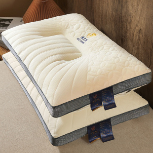 Pillow Pillow Core Cervical Spine Protection to Help Sleep Special Adult Pair Student High Whole Head Single Male Sleeping Home Dormitory