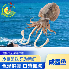 ���r�ī�~�Ŀ�~�����ֹ�����������ī�~�F؛���l������r