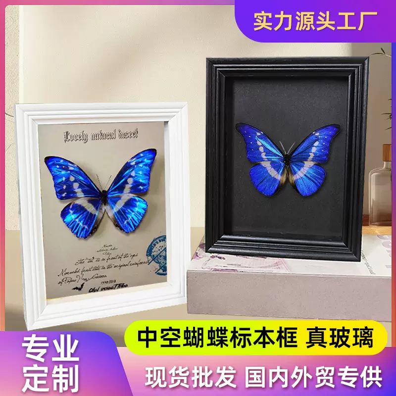 实木蝴蝶标本框中空相框摆台昆虫干花手工diy相框中空蝴蝶标本框