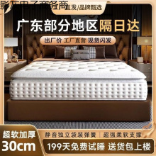 十大名品希爾頓五星酒店席夢思乳膠椰棕20CM靜音獨立彈簧床墊加厚