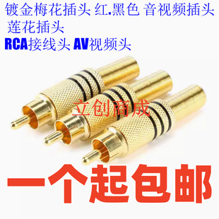 僽�÷�����^ �t/��ɫ ��ҕ�l���^ ɏ�����^ RCA�Ӿ��^ AVҕ�l�^