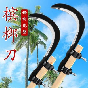 �羳�i䓙��Ƶ��߿���֦砵��๦�ܸ���r�õ��^���������~����