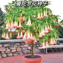 �����_���N�Ӷ����������_���ļ��҃��̨ͥԺ��������