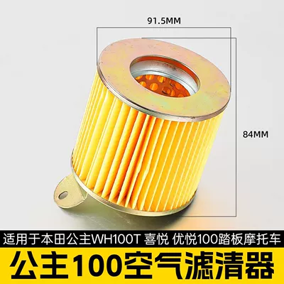 Princess Joy Youyue – Air filter