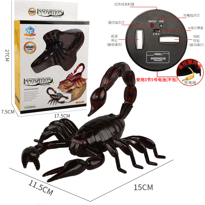 전갈-블랙-다크 브라운