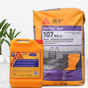 ����107��ˮ ����PT-100�p�M�ݾۺ������ˮ�����ˮ�ҝ{ 25KG