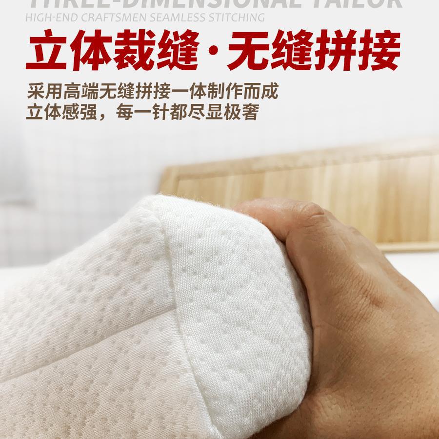 Latex Mattress Cover Protective Cover Six-Sided All-Inclusive Fitted Sheet Cover Quilted Thickeneded Zipper Non-Slip Tatami Mat Cover New Style