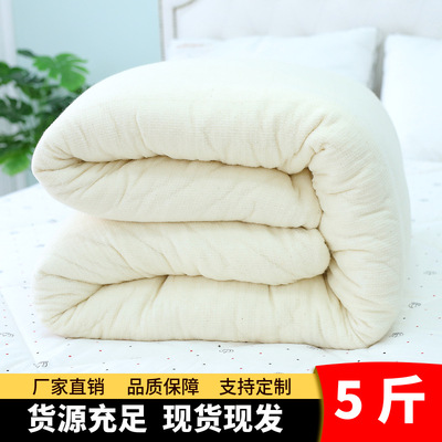 棉絮棉花被褥子墊被胎酒店客棧學生宿舍單人5斤春秋加厚廠家批發