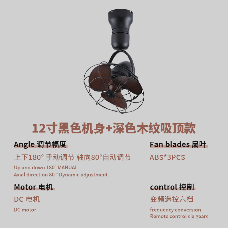 12inch 검정색 + 어두운 천장 스타일