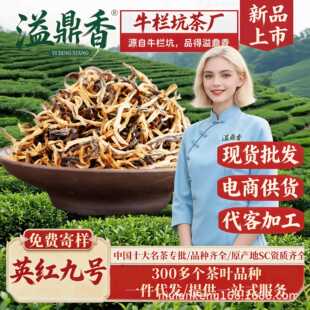 �綦��Ӣ�t��̖Ӣ�¼t�蹤�S���lӢ�t9̖�����ͽ�ѿ�Ϙ���~����