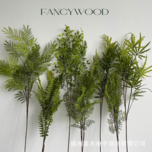 ������~�ĺϼ����ԃr�� Ī�λ��@ ����ֲ����� �Ɍ���Y��ˇ