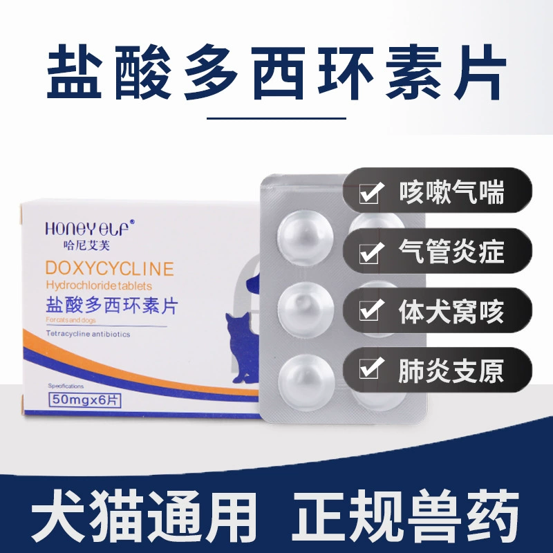 Кошка Собака Холодная Медицина Кашель Насморк Чихает Кошка Нос Ветка Собака Кошка Лечение Нос Медицина