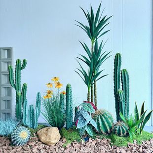 �������������[����ֲ���쾰�M���̈������b������þGֲ�߷���