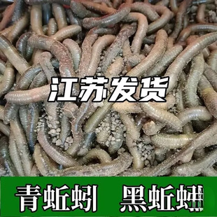 ��S�X�������w�~�D�S�X���D������ش�̖������r������T�D