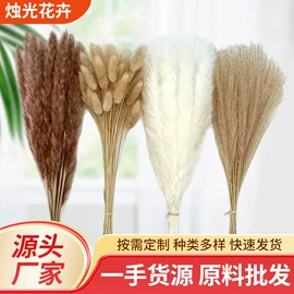 鲜花花艺制品;干花;永生花