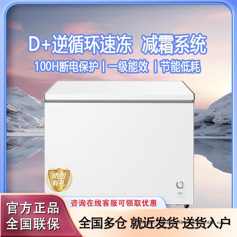 Freezer 100/200/300 Liters Household First-Class Small Freezer Large Capacity Frozen Refrigerated Fresh-Keeping Refrigerator Freezer