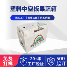 pp中空板周转箱塑料整理箱生鲜果蔬快递瓦楞纸箱水果包装箱定制