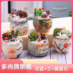 ����ֲ���΢���^�Gֲ�����ײ���ֲ�����k�����׃��@����