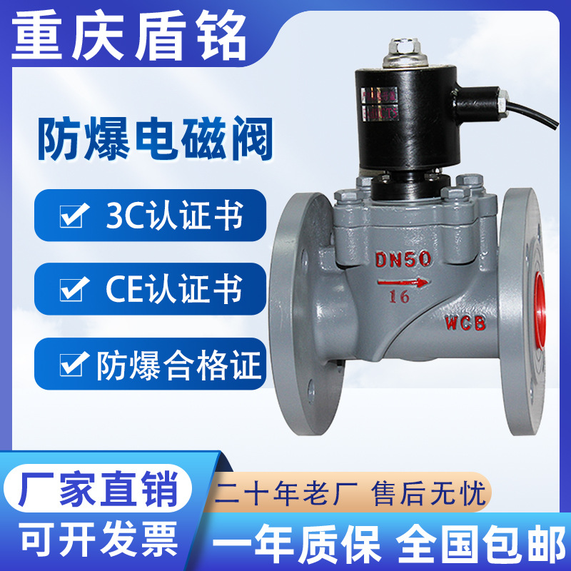 防爆电磁阀1.6MPA煤气液化气燃气24V220V柴油防爆电磁控制阀厂家