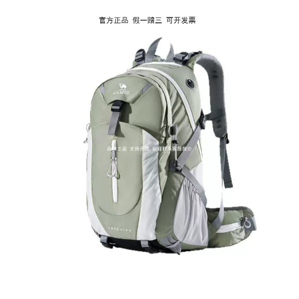 Outdoor Professional Mountaineering Bag, New Large-Capacity Travel Backpack, Hiking Backpack, School Bag Wholesale