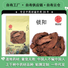 ƽiꖸƬiƬĮiꖟoșiƬݾiꖂ