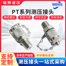 测压接头PT系列测压接头测压软管接头快速测压接头压力测试接头