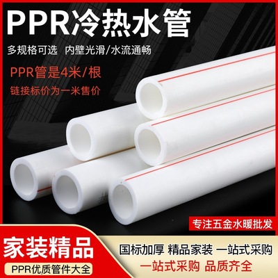 Manufactor goods in stock Water supply PPR brand new Plastic Hot and cold water pipes household Water pipe parts PPR Water pipe
