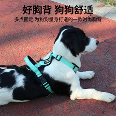 ペットの胸の帯の工字型の脱落防止の中で大型の犬は犬の縄を散歩します。