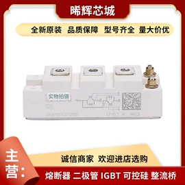 普通晶闸管;IGBT模块;其他二极管