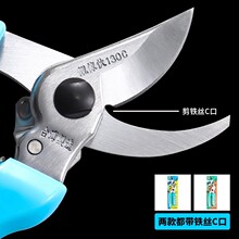 ̨����֦��ԭ�b�n�������ʡ�� ������130�@ˇ���辰��֦����