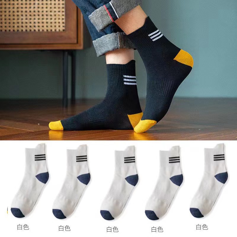 화이트