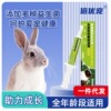 倍优宠小动物益生菌营养膏30ML仓鼠兔子豚鼠荷兰猪保健品一件代发