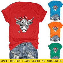 亚马逊ebay独立站时尚个性趣味女士红蝴蝶结牛圆领短袖T恤打底衫