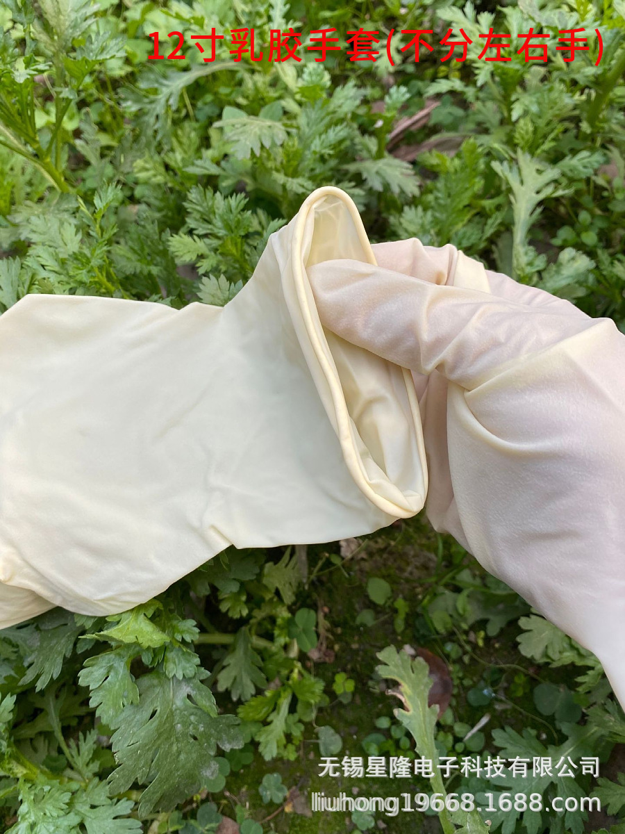 mtw-41220884 - 副本.jpg