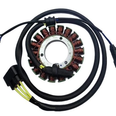 Single-Cylinder 600Cc Motorcycle Engine Stator Rare Earth Magnet Generator Hs700 Hs750 Compatible with Rare Earth Magnet Generator (Motorcycle engine and accessories)