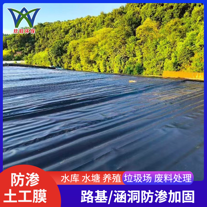 鱼塘防渗膜0.8mm-1.2mm人工湖养殖护坡蓄水池防渗土工膜