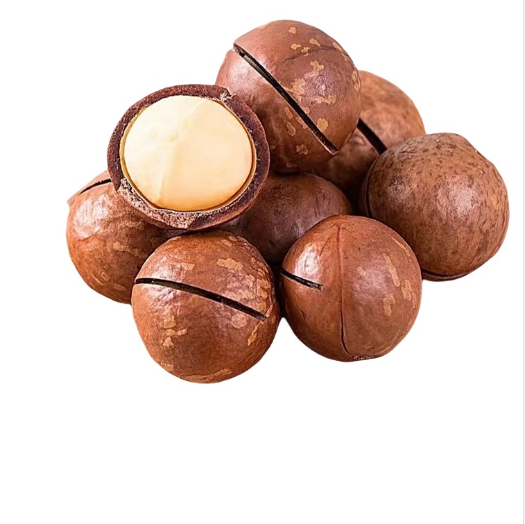 夏果佳仁品牌招商批发零售代发夏威夷果原味澳洲坚果开口坚果奶油