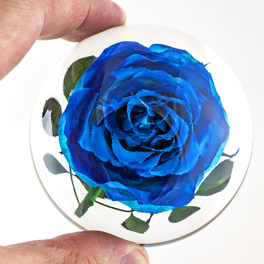 [Color Box] Hemisphere Blue Rose