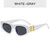 Fashionable brand retro trend sunglasses, European style