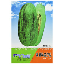 ��������������ڽ�������������˹ϳ���ɳ����ȿ�����������